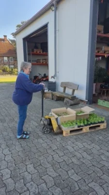 ...selbst ist die FRAU  (Bild vergr&ouml;&szlig;ern)