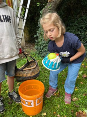 IMG-20250202-WA0119 