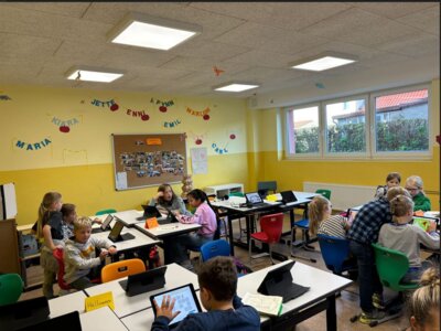 Foto des Albums: Herbstprojekt