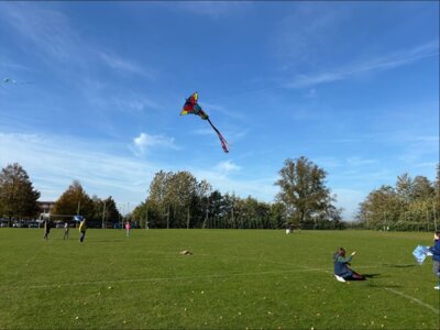 Foto des Albums: Herbstprojekt