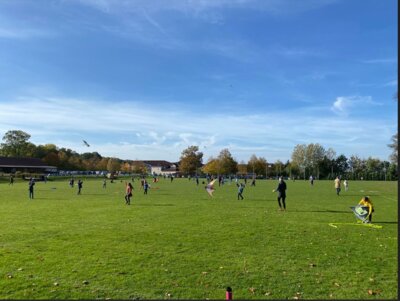 Foto des Albums: Herbstprojekt