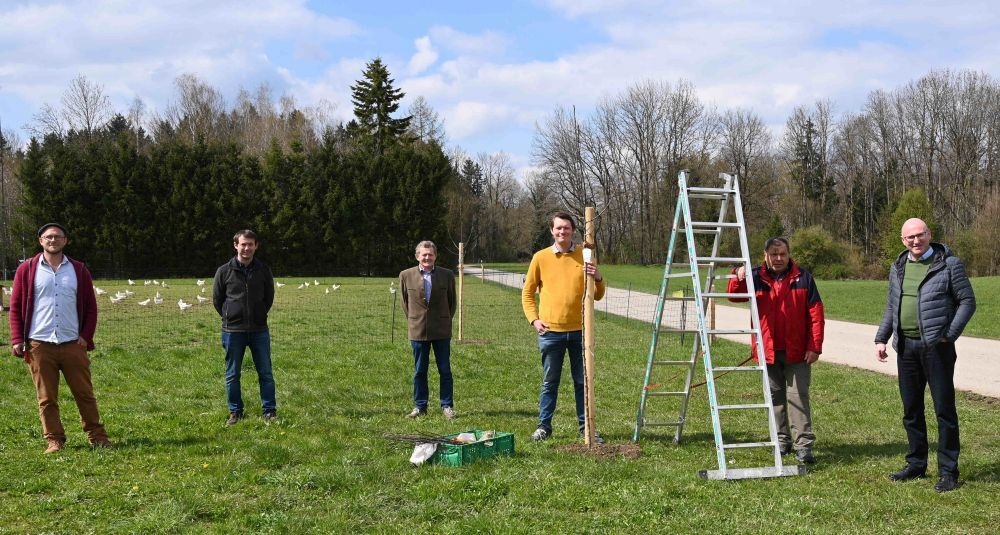 Bild: ObstbaumVeredelung