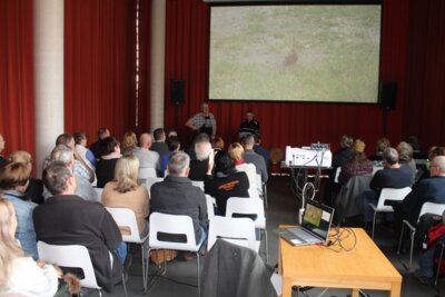 Foto des Albums: Erfahrungsaustausch zum Wiedehopf