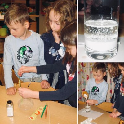 ----- Spatzen  (Bild vergr&ouml;&szlig;ern)