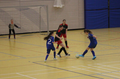 Foto des Albums: Hallenbezirksmeisterschaft D-Juniorinnen