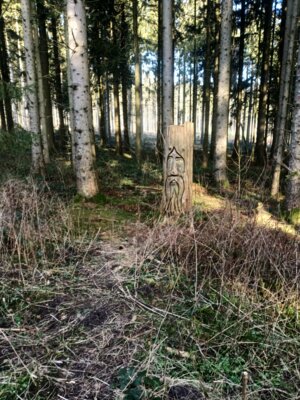 Kunst im Wald  (Bild vergr&ouml;&szlig;ern)