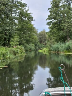 Foto des Albums: Spreewaldausflug
