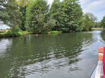 Foto des Albums: Spreewaldausflug