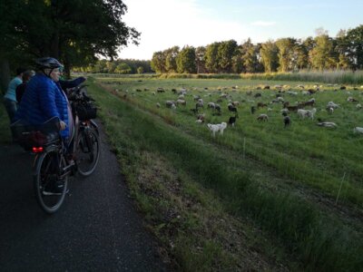 Foto des Albums: Fahrradtouren 2024