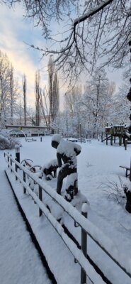 Foto des Albums: Winter 2025