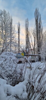 Foto des Albums: Winter 2025