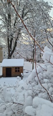 Foto des Albums: Winter 2025