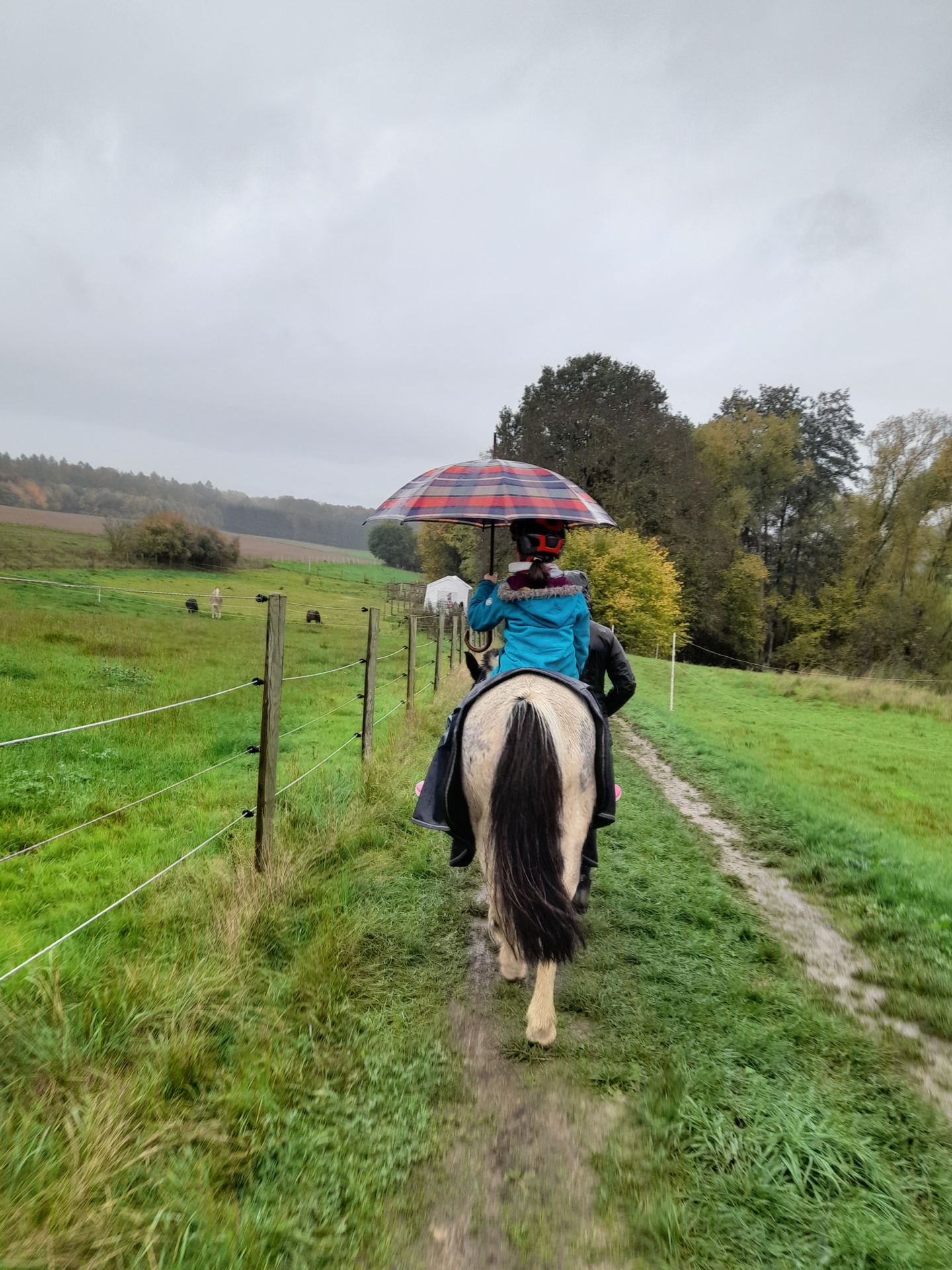 Bild: aber auch: Es gibt kein schlechtes Wetter
