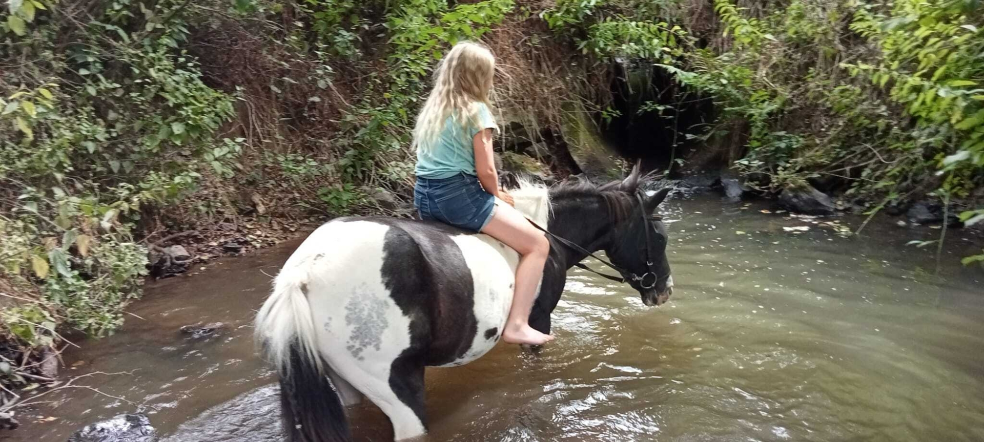 Bild: Ferienfreizeit 2022 Mit den Pferden im Bach