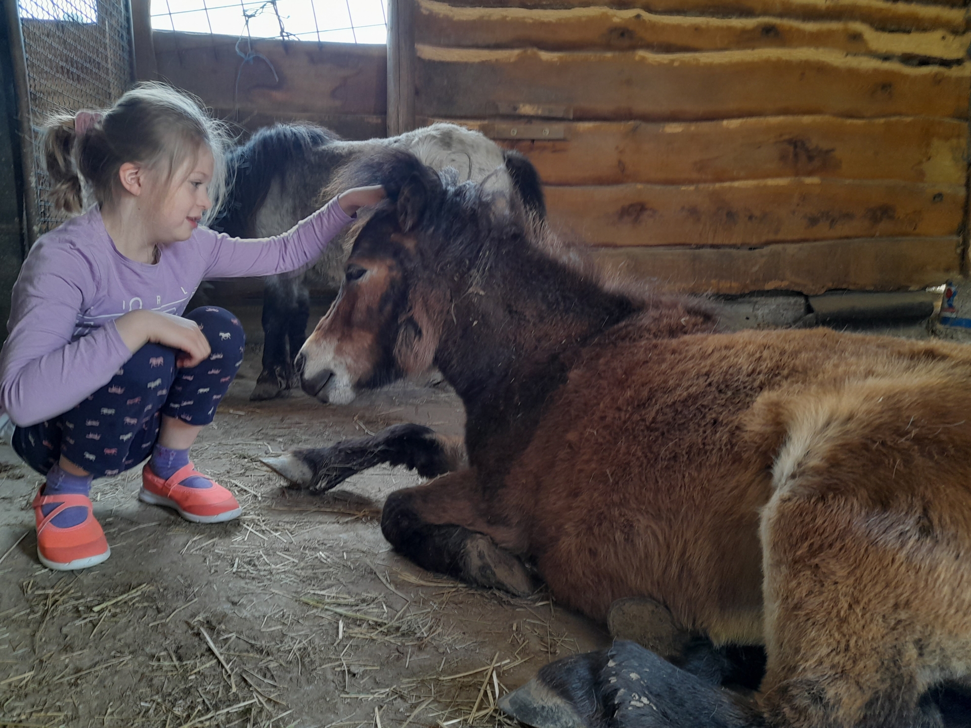 Bild: Kuscheln mit den Minis