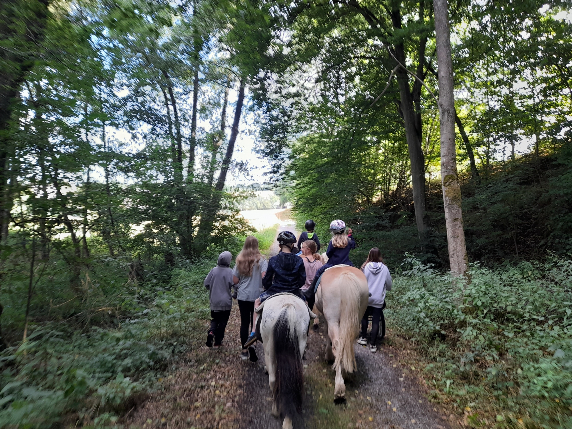 Bild: Unterwegs im Wald