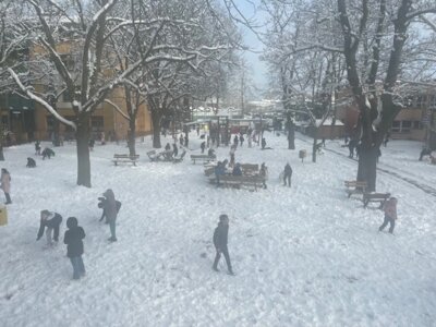 Foto des Albums: Schneetag