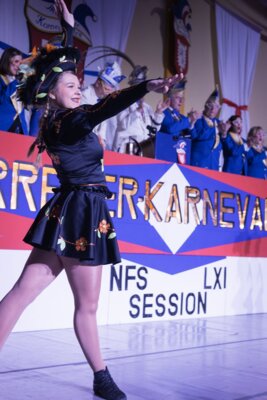 Foto des Albums: Närrische Februarsitzung