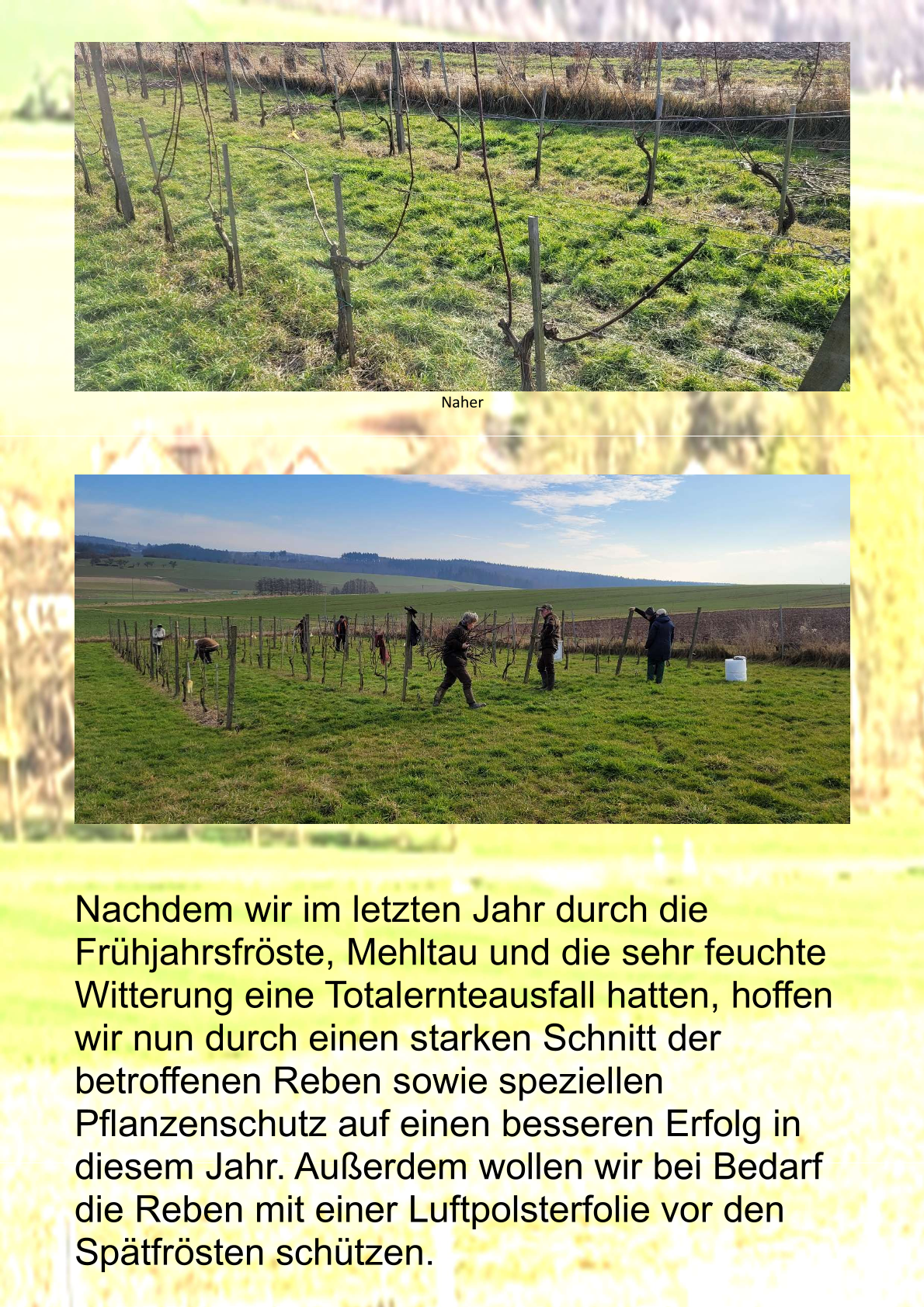 Bild: 0003