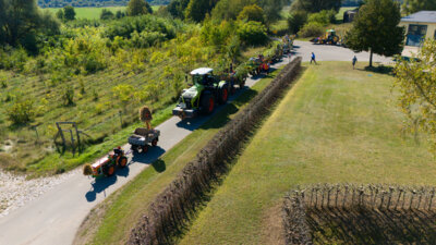 Foto des Albums: Erntefest Marnitz