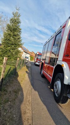 Foto des Albums: Einsatz 08/2025
