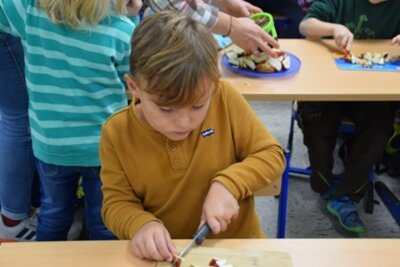 Foto des Albums: Apfel Apfel Apfel ... und die Kinder der Klasse 1