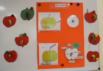 Foto des Albums: Apfel Apfel Apfel ... und die Kinder der Klasse 1