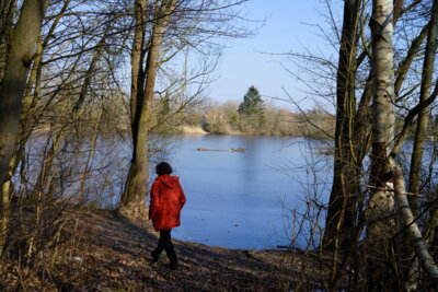 2) Gro&szlig;er D&ouml;hrener Teich  (Bild vergr&ouml;&szlig;ern)