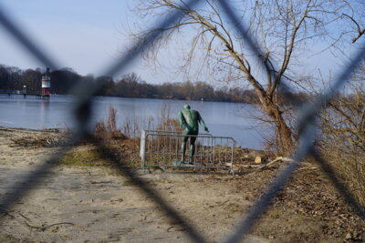 Erster Schwimmer am Maschsee  (Bild vergr&ouml;&szlig;ern)