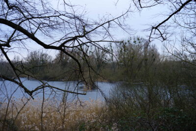 Teiche am Ohedamm  (Bild vergr&ouml;&szlig;ern)