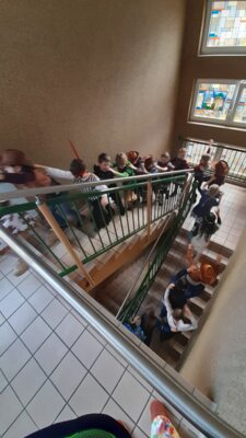 Foto des Albums: Fasching 2025