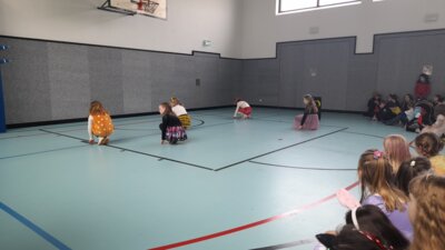 Foto des Albums: Fasching 2025