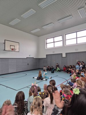 Foto des Albums: Fasching 2025