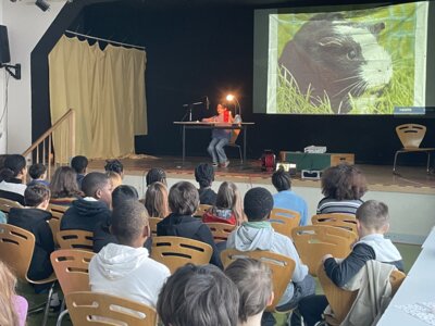 Vorschaubild der Galerie