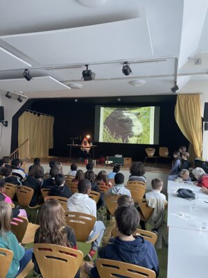 Vorschaubild der Galerie