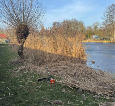 Foto des Albums: Spontaner Arbeitseinsatz vom 21.02.2025