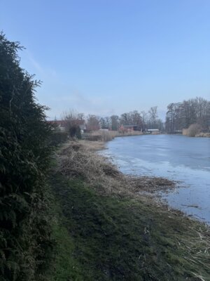 Foto des Albums: Spontaner Arbeitseinsatz vom 21.02.2025