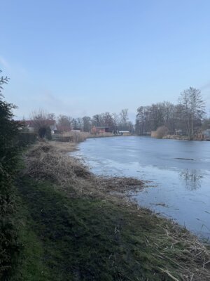 Foto des Albums: Spontaner Arbeitseinsatz vom 21.02.2025