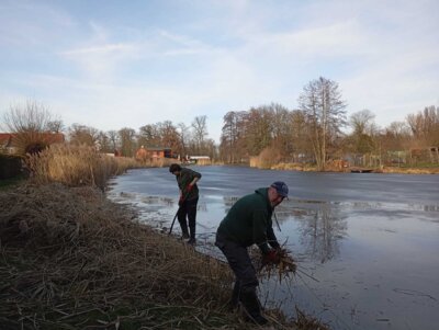 Foto des Albums: Spontaner Arbeitseinsatz vom 21.02.2025