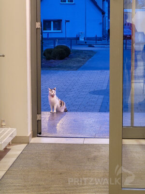 Foto des Albums: Das war der Pritzwalker Bürgerempfang 2025