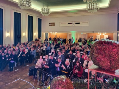 Foto des Albums: Das war der Pritzwalker Bürgerempfang 2025