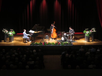 Foto des Albums: Frank-Dupree-Trio