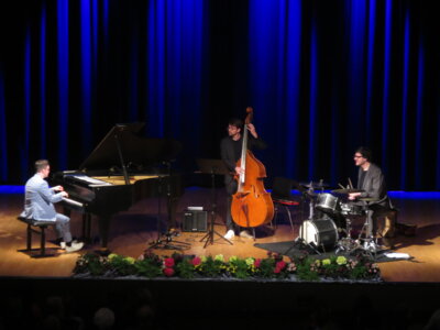 Foto des Albums: Frank-Dupree-Trio