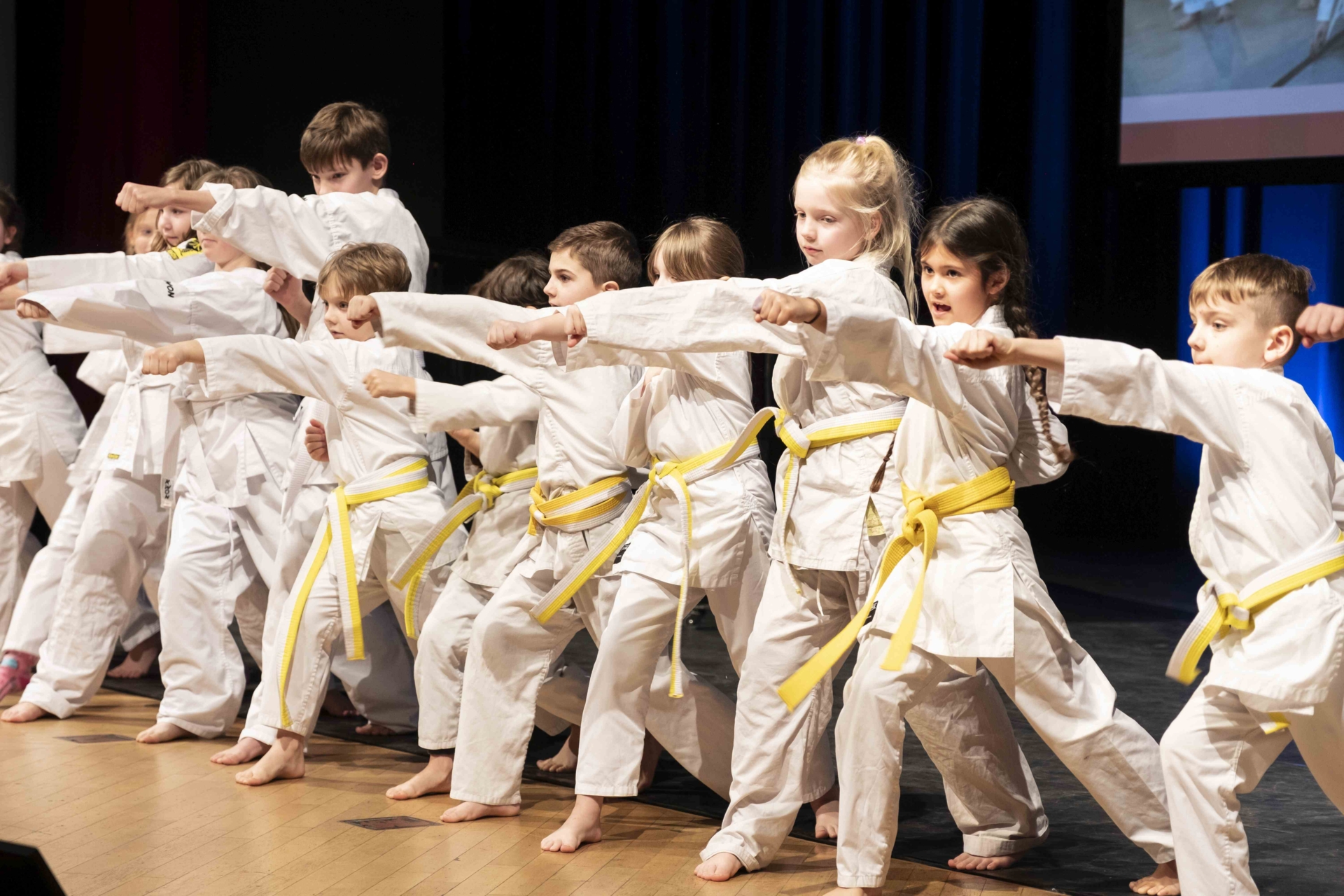 Bild: Schülerinnen und Schüler der Karate-Schule Hanoi Sport Wittenberge zeigten ihr Können