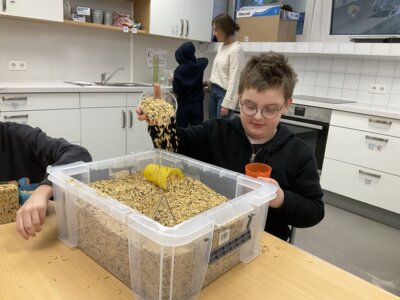 Foto des Albums: Mathe-Tag an der Waldschule