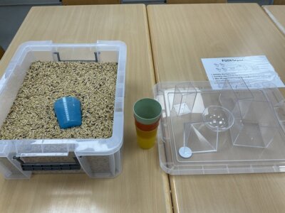 Foto des Albums: Mathe-Tag an der Waldschule