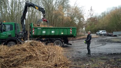 Foto des Albums: Schilfmahd auf dem Sackteich durchgeführt