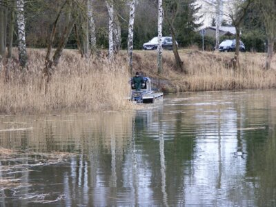 Foto des Albums: Schilfmahd auf dem Sackteich durchgeführt