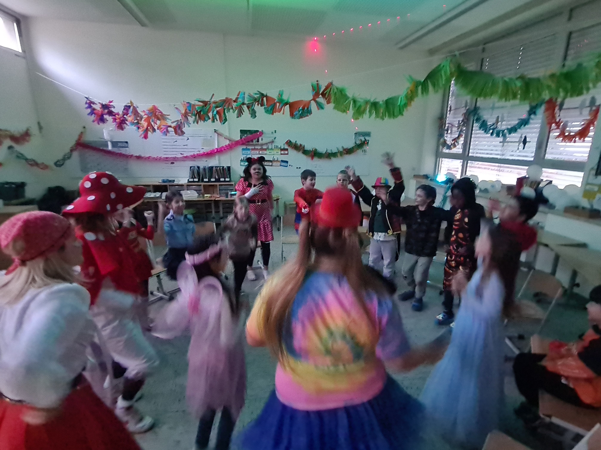 Bild der Galerie