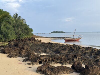 Foto des Albums: Zanzibar Dezember 2023